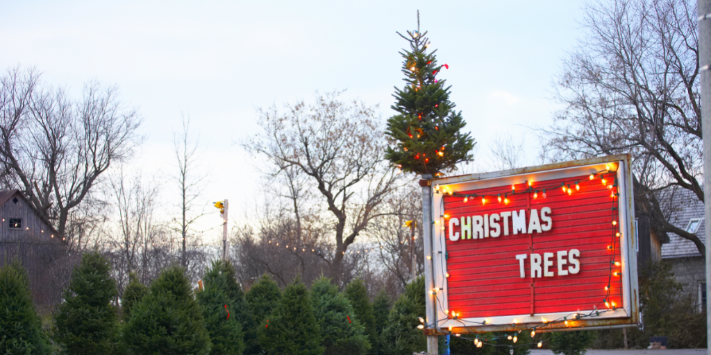 The Ugly Christmas Tree